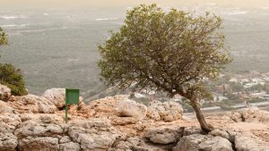 Read more about the article מסע בזמן בלי לטוס: בני אבריאל שפר ממליץ על טיול יום היסטורי בישראל